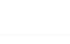 History | The Tow Youth Justice Institute