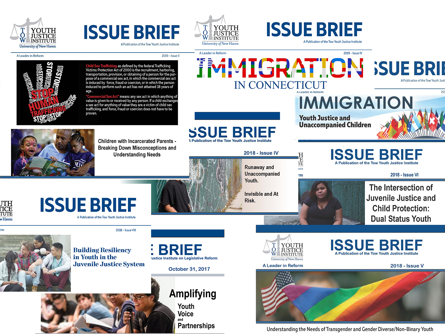 Collage of Issue Briefs