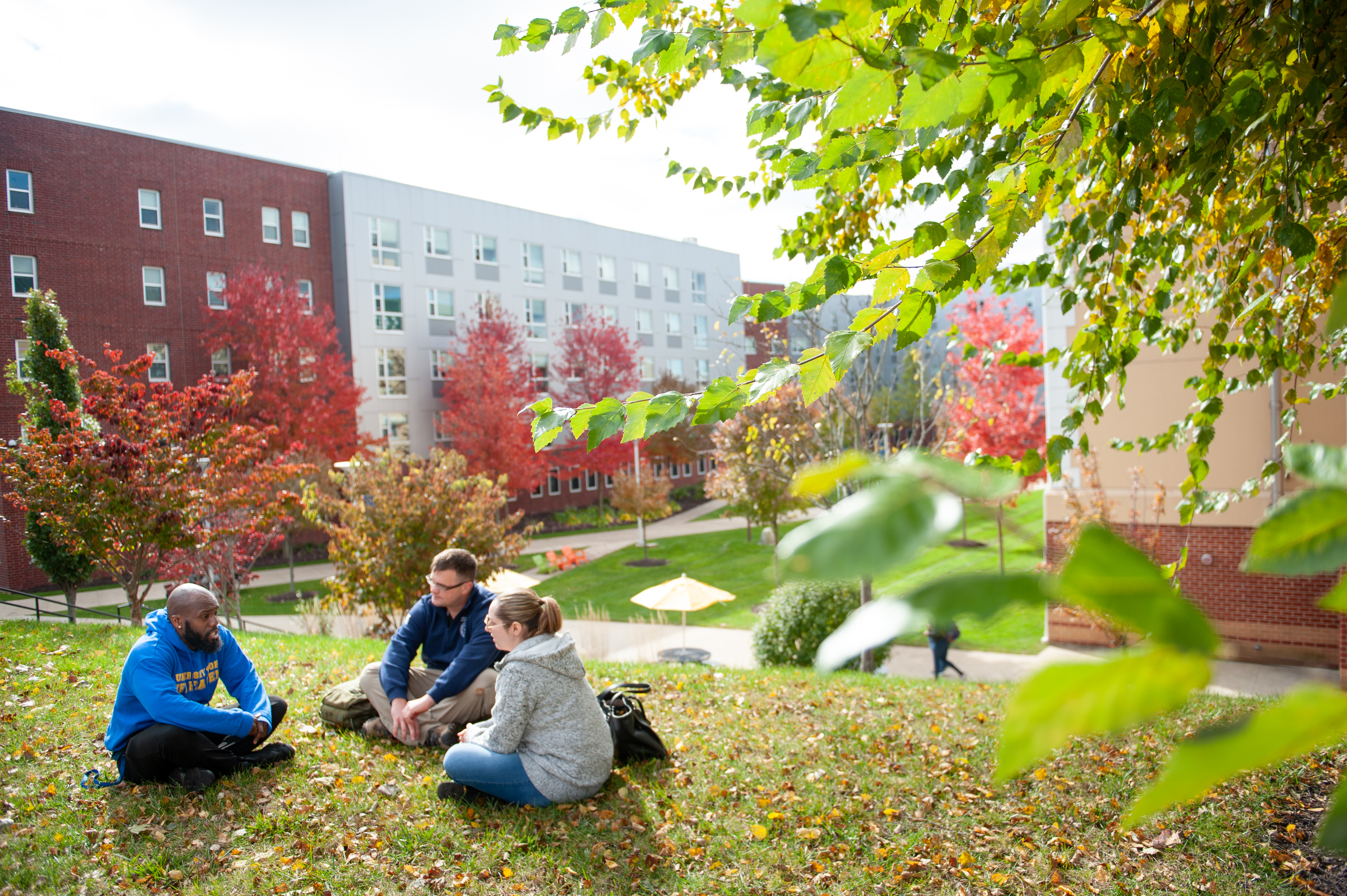 University of New Haven Partners