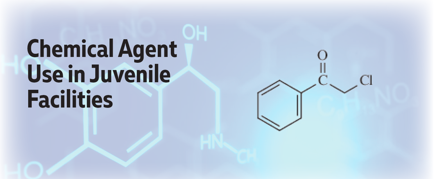 Check out our November Issue Brief: Chemical Agent Use in Juvenile Facilities